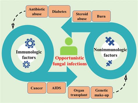 The Main Predisposing Factors To Opportunistic Fungal Infections