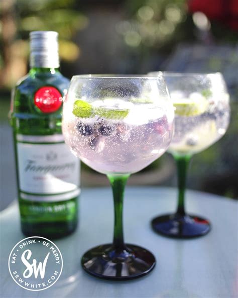 Blueberry Gin And Tonic Recipe Easy Gin And Tonic Ideas