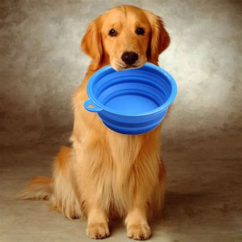 2pcs Lightweight Folding Bowl For Dogs Rubber Silicone Collapsible Bowl
