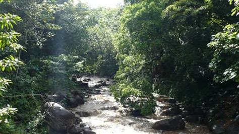 35,993 likes · 307 talking about this. Guadeloupe National Park (Basse-Terre) - 2021 All You Need ...