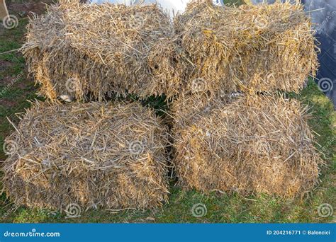Rectangular Hay Bale Stock Image Image Of Farm Balkans 204216771