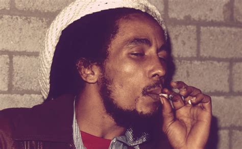 Relive the life & legacy of the gong with us in photos/videos. La marque de Marijuana de Bob Marley à la conquête de la ...