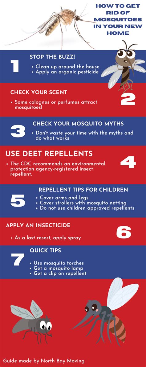 How To Get Rid Of Mosquitoes In Your New Home 2022