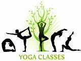 Yoga Classes Pictures