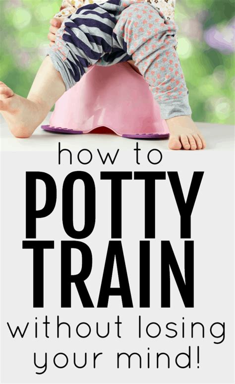 How To Potty Train Without Losing Your Mind In 2020 Toddler Potty