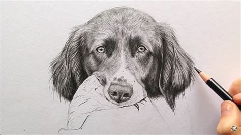 It will look like a nose but it doesn't have the realism that it could have. How to draw realistic fur - dog ears by Leontine van vliet ...
