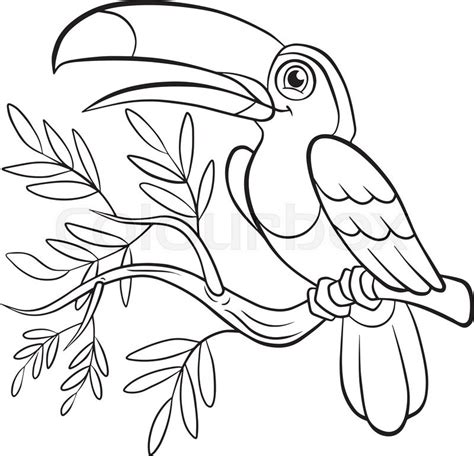 Push pack to pdf button and download pdf coloring book for free. Toucan Bird Drawing at GetDrawings.com | Free for personal ...