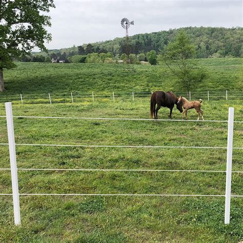 Available in white, tan, khaki and gray color options and a range of heights. 2" x 2" x 5' T-Post Sleeve | RAMM Horse Fencing & Stalls ...