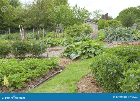 Community Garden Growing Organic Vegetables And Fruits Stock Photo