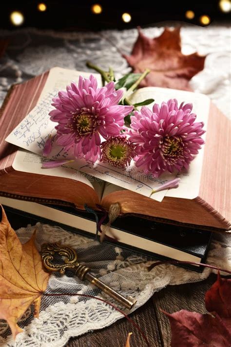 Vintage Style Still Life With Opened Book And Flowers Stock Photo