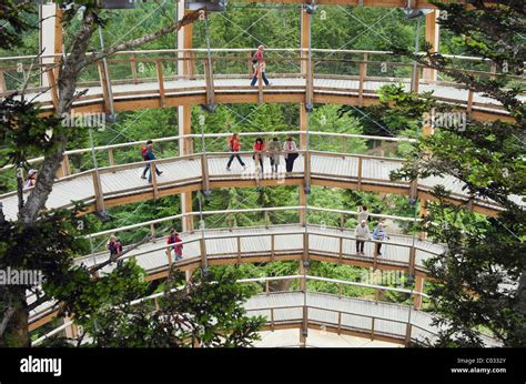 People Visiting The Tree Tower Treetop Walkway Bavarian Forest
