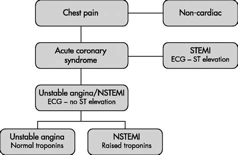 Critical Review Of Unstable Angina And Non St Elevation Myocardial