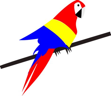 80 Free Parrot And Bird Vectors Pixabay