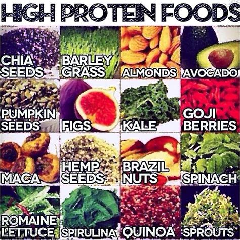 We did not find results for: HIGH PROTEIN PLANT BASED FOODS | Green Smoothie Recipes ...