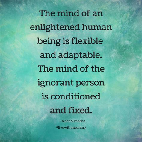 The Mind Of An Enlightened Human Being Is Flexible And Adaptable The