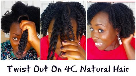 White hair to black hair naturally with aloe vera permanently | 100% works at home how to us: Twist Out on Medium 4C 4B 4A Coily Natural Hair with DIY ...