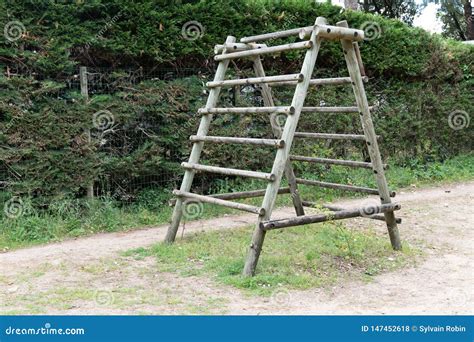 Wooden Wall Of Obstacle Course Ladder Climb Of Wood Stock Photo Image