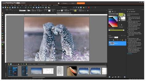 Kb Corel Paintshop Pro 2020 How To Convert Negative Image To A