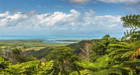 Great Barrier Reef And The Daintree Rainforest Tours Tonys Tropical