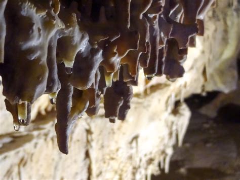 Soda Straw Cave Formations At Lehman Cave In Great Basin National Park