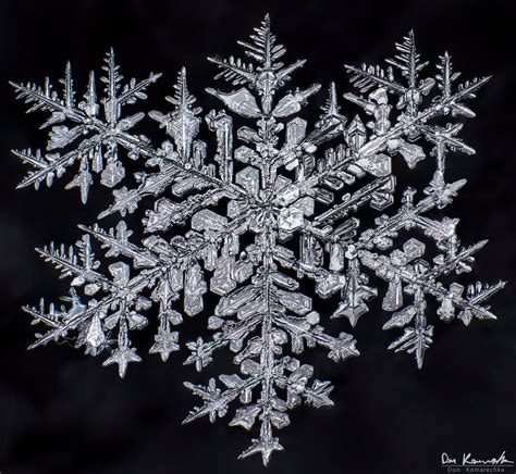 Some Of The Best Snowflakes From This Season Macro In Photography
