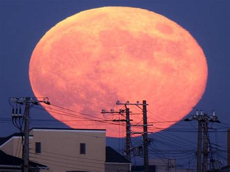 However, the exact time when you'll see the full moon at its biggest and brightest depends on where you are in. Super Pink Moon 2020: Biggest and Brightest April Full ...