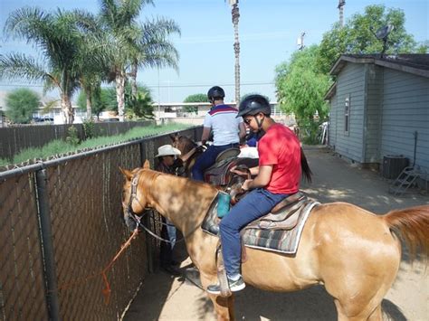 Western Trails Horseback Riding Private Rides Norco Ca Top Tips