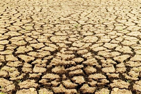 Un Worried La Nina Will Worsen Somalia Drought Cgtn Africa