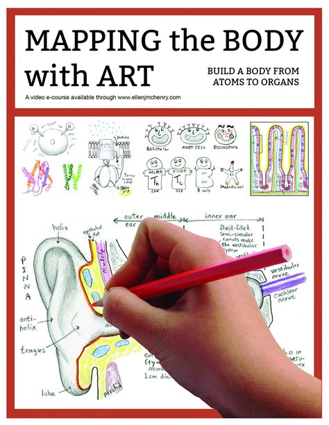 Mapping The Body With Art Paperback Workbook Ellen Mchenrys