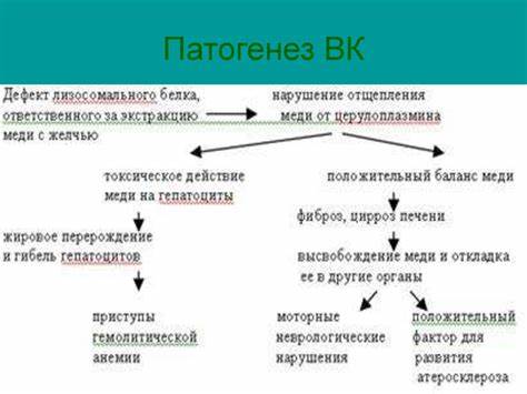 Болезнь вильсона коновалова диета