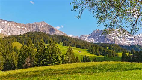 Switzerland Landscape Mountains Prairie Forest Trees High Definition