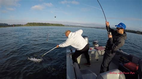 Salmon Fishing Technique On The Columbia River Using 360 Flashers