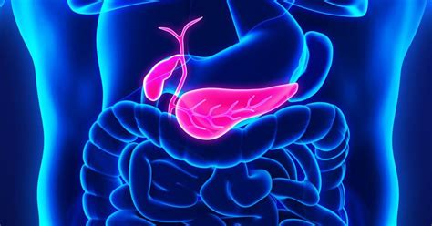 How To Prevent Or Reduce The Chances Of Pancreatic Cancer