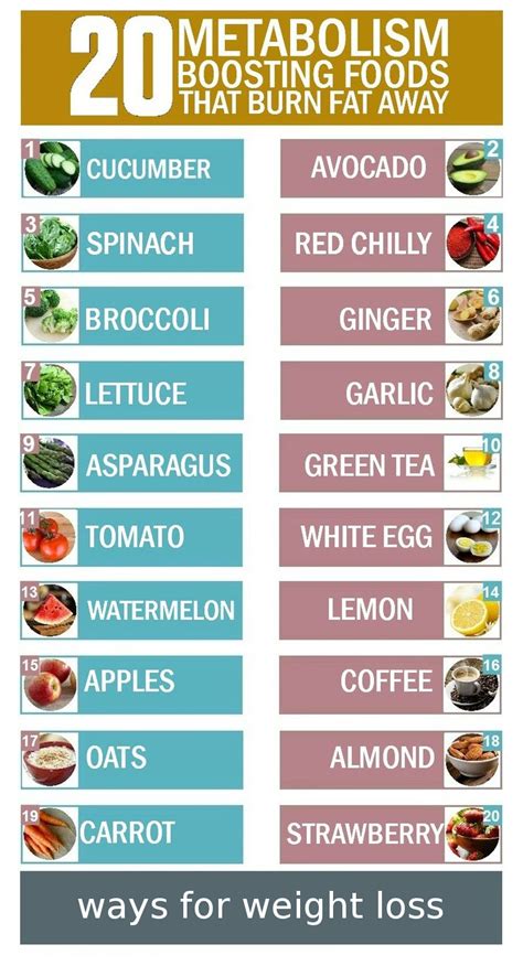 Weight Loss Infographics 20 Metabolism Boosting Foods That Burn Fat Away