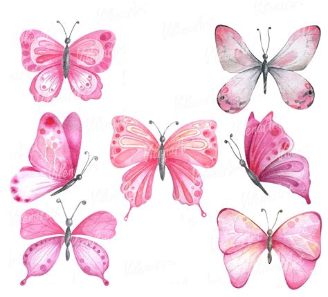 Watercolor Pink Butterflies By Vilenaart Thehungryjpeg