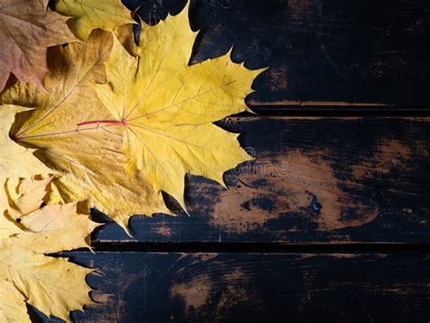 Fall Leaves And Rustic Wood Background Stock Image Image Of Leaves