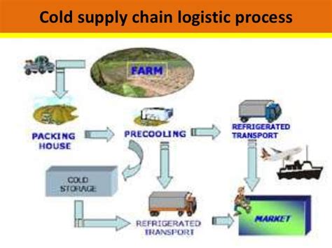 Cold Supply Chain Management