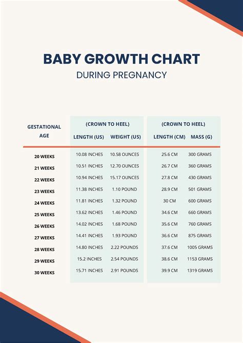 Growth Chart Template Word