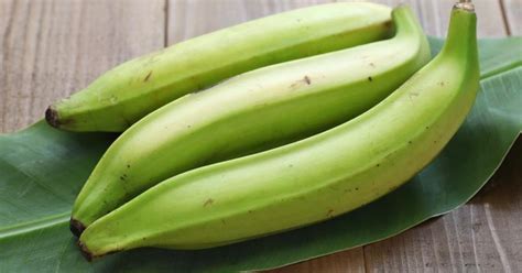 What Are The Disadvantages Of Plantains Livestrongcom
