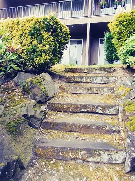 Puget sound express booking unavailable on tripadvisor. Concrete and Pavers | Hardscape Masonry | A + Salazar ...