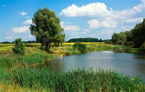 Countryside Landscape With Little Lake And Sky Stock Image Colourbox