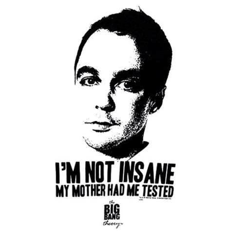 Insane Sheldon The Big Bang Theory Image 222559 On