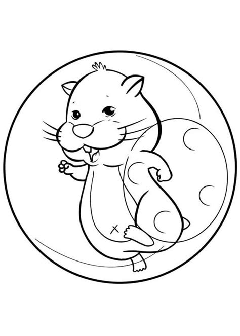Spiderman pictures to color for kids. Smiling Hamster Pet Coloring Page : Coloring Sky