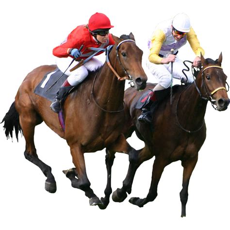 Search and download free hd racing background png images with transparent background online from lovepik.com. Top 31 Amazing And Dashing Horse Racing Wallpapers In HD