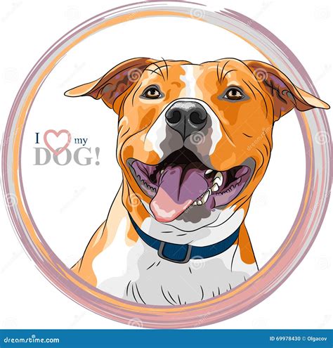 Smiling Dog Staffordshire Bull Terrier Cartoon Vector Cartoondealer