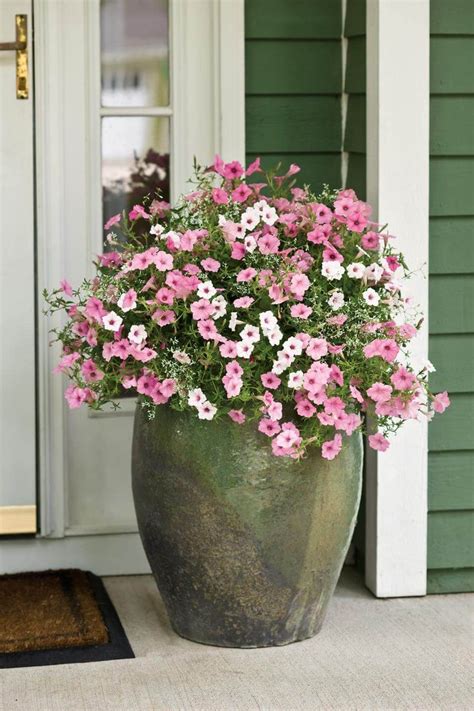 Flowers for oświecim, poland offers same day flower & gift basket delivery for oświecim, poland at very low rates. Top 10 Flower Pots That Will Make Your Porch Amazing
