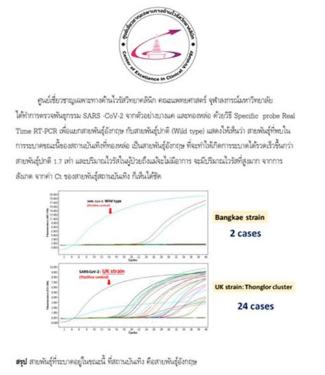 โควิดสายพันธุ์อังกฤษ สายพันธุ์ใหม่ในไทย ติดง่ายและแพร่เร็วกว่าเดิม 1.7 เท่า! เผย คลัสเตอร์ โควิด 19 ทองหล่อ เป็นเชื้อ โควิด 19 สาย ...