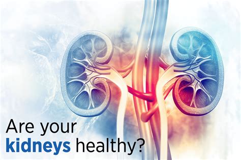 7 Ways To Keep Your Kidneys Healthy Life Line Screening