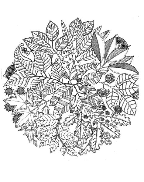 Dessin d'une fleur style mandala, du premier au dernier trait, par joëlle mercier. Coloriage Mandala Fleurs et Plantes dessin gratuit à imprimer