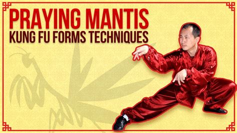 七星螳螂崩步拳7 Star Praying Mantis Kung Fu Forms And Techniques Beng Bo Youtube